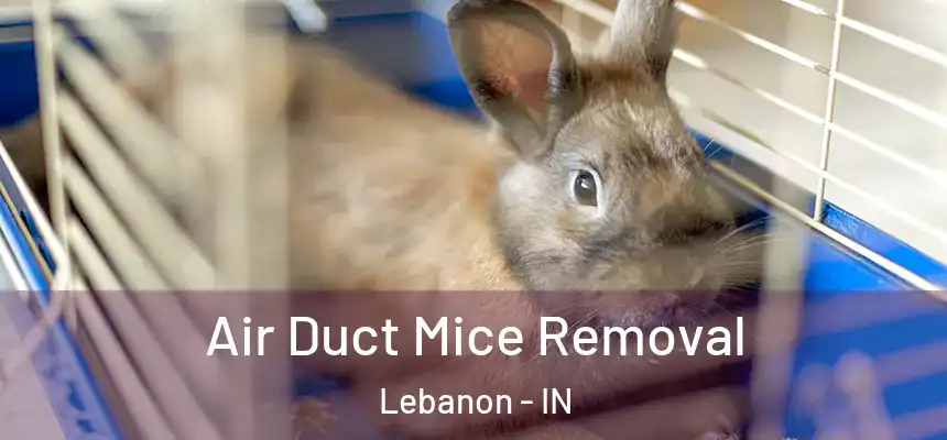  Air Duct Mice Removal Lebanon - IN