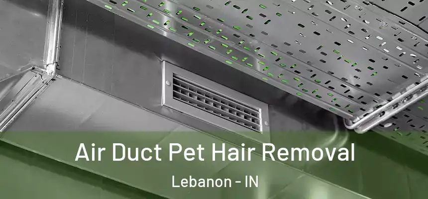  Air Duct Pet Hair Removal Lebanon - IN