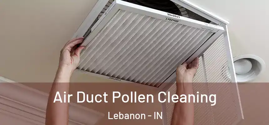  Air Duct Pollen Cleaning Lebanon - IN
