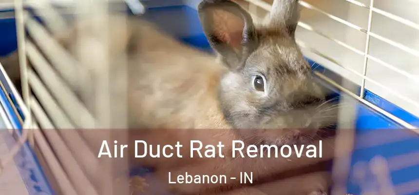  Air Duct Rat Removal Lebanon - IN