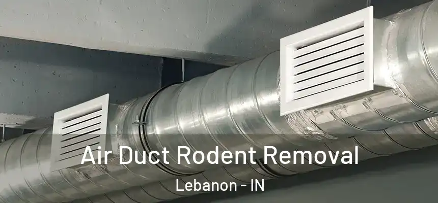  Air Duct Rodent Removal Lebanon - IN