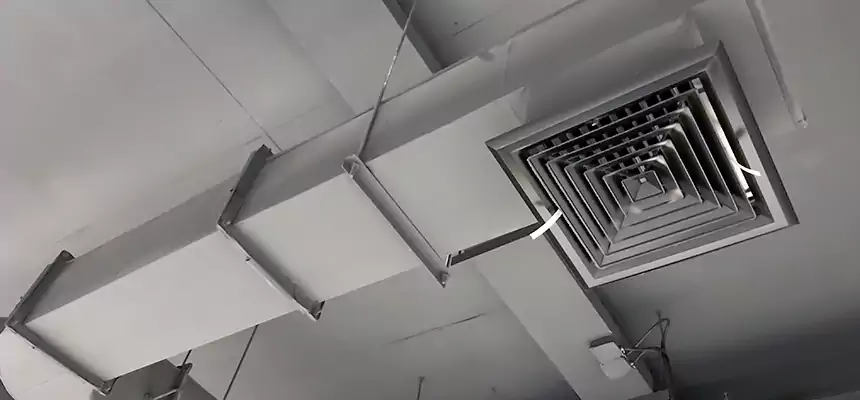 Our Pest Removal From Ducts Services in Lebanon, IN