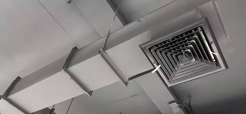 Our Rodent Droppings In Vents Services in Lebanon, IN