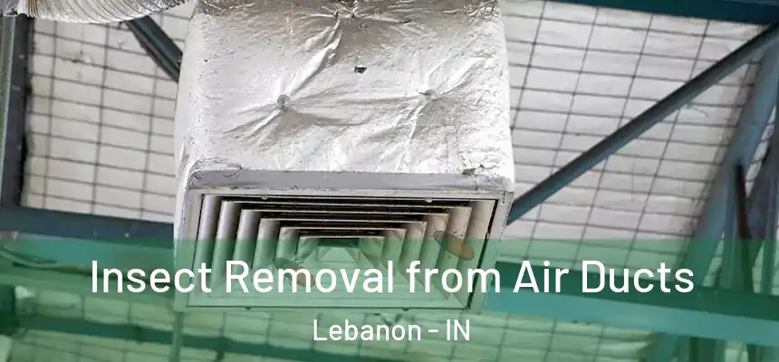  Insect Removal from Air Ducts Lebanon - IN
