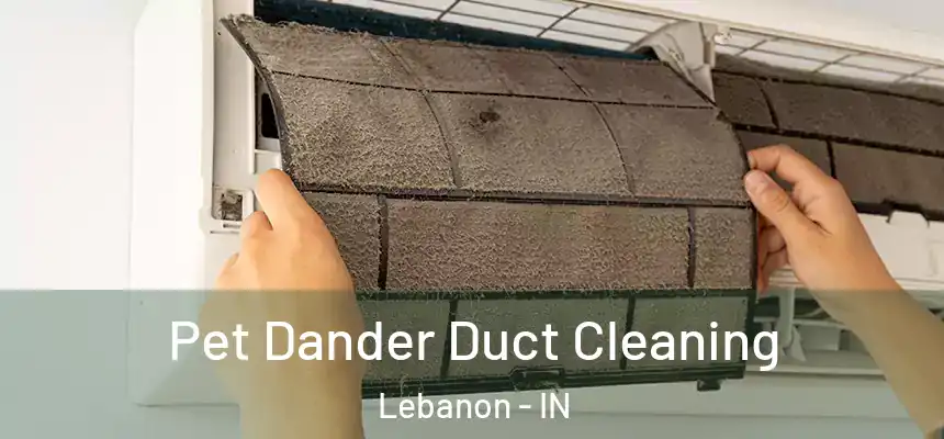  Pet Dander Duct Cleaning Lebanon - IN