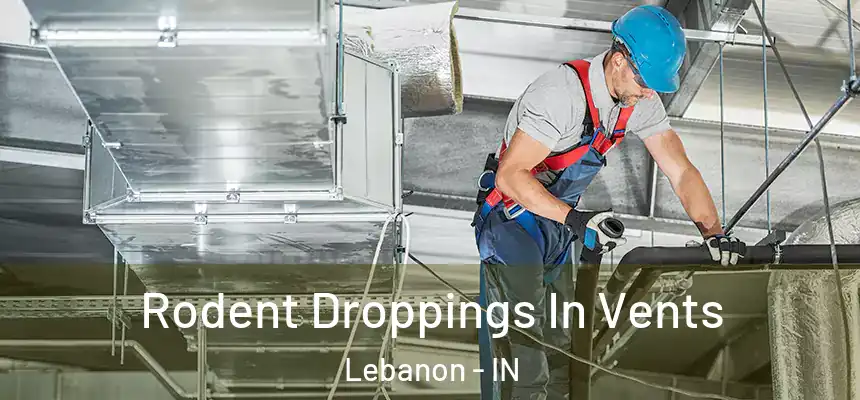  Rodent Droppings In Vents Lebanon - IN