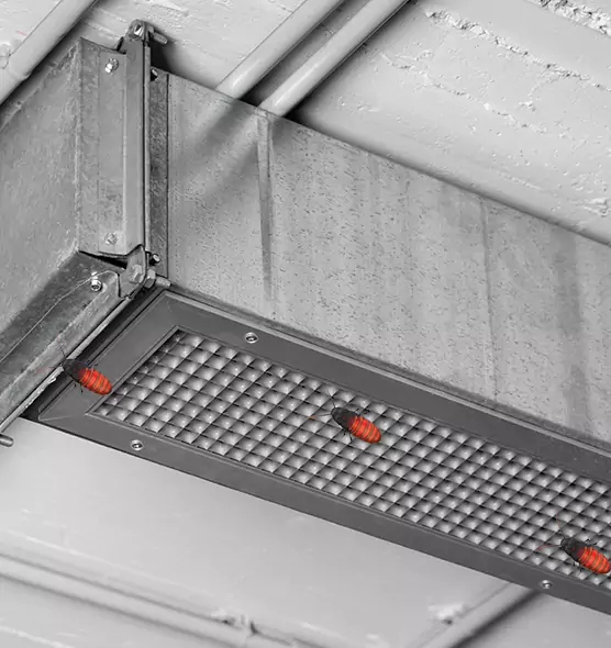 About Air Duct Cockroach Removal in Lebanon, IN
